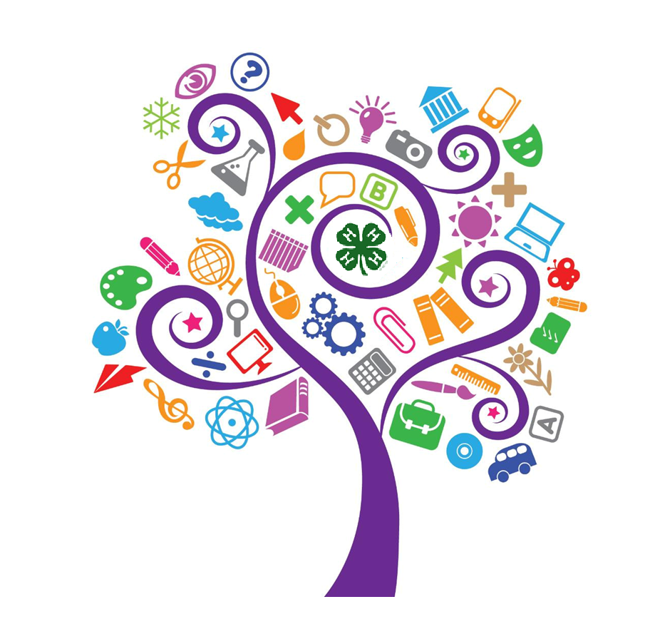 Employer Provided Image-4-H Youth Development